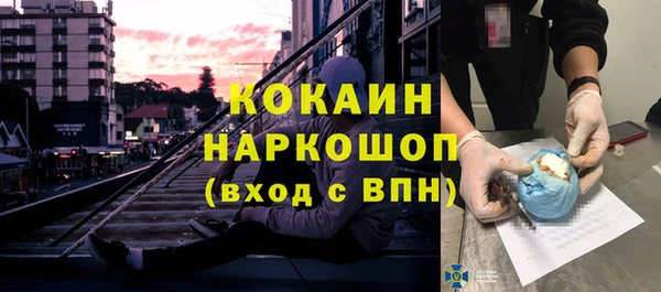 шишки Алзамай
