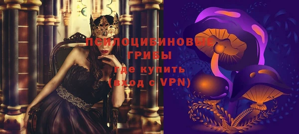 мдпв Пестово