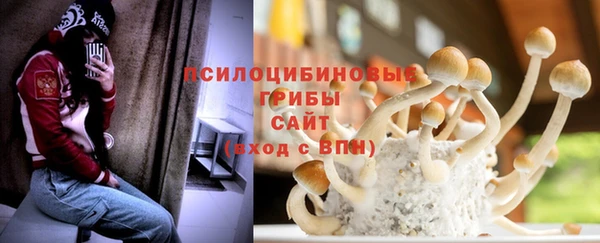 шишки Алзамай
